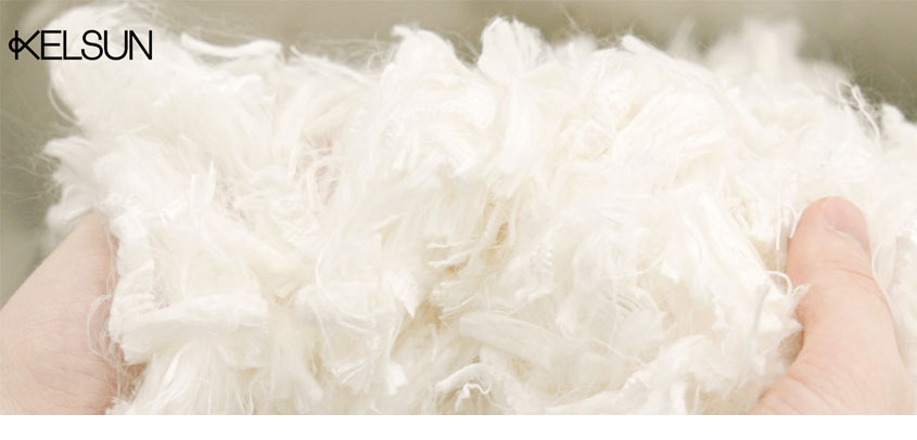 الیاف کلسان از جلبک دریایی الیاف کلسان از جلبک دریایی